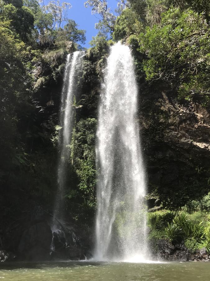 Hotel Purling Brook Falls Gwongorella à Springbrook Extérieur photo