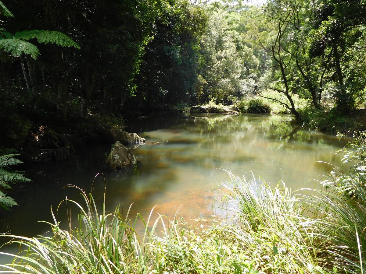 Purling Brook Falls Gwongorella Springbrook Extérieur photo