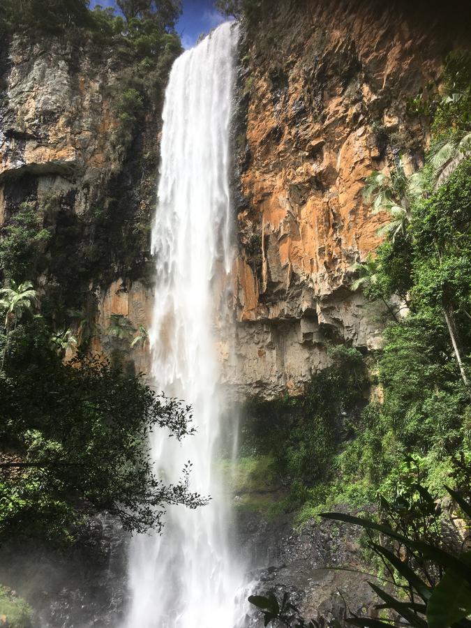 Hotel Purling Brook Falls Gwongorella à Springbrook Extérieur photo