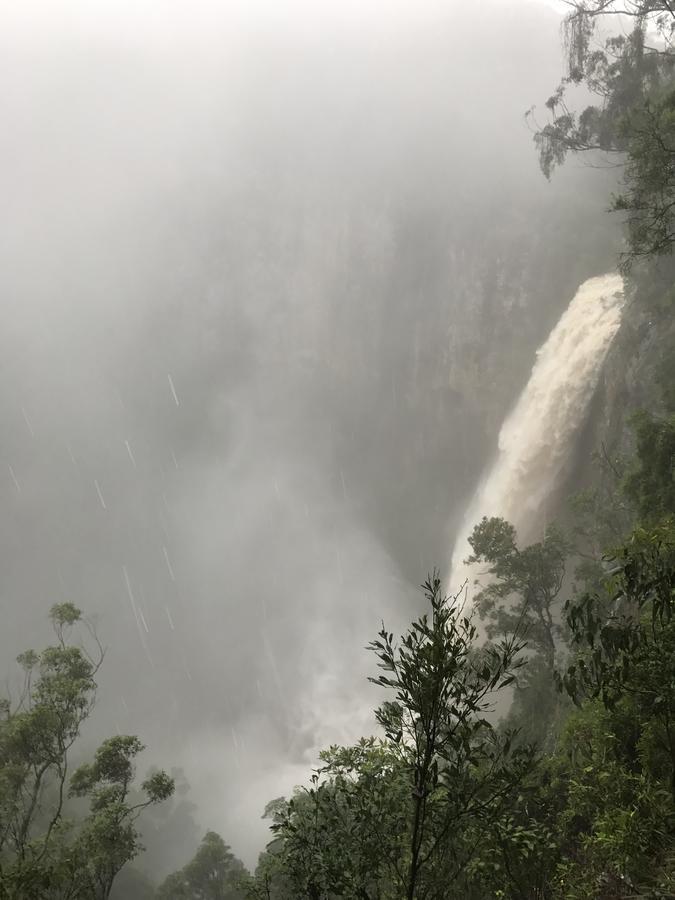 Hotel Purling Brook Falls Gwongorella à Springbrook Extérieur photo